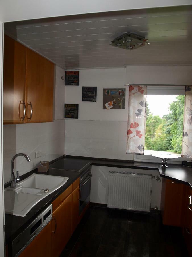 Sc Apartment - Nuernberg Messe / Fraenkisches Seenland Schwabach Luaran gambar